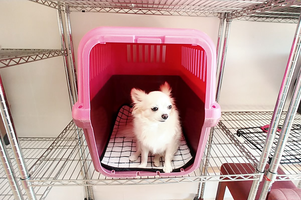 宿泊ルーム 箱型（ベッドスペースのみ）