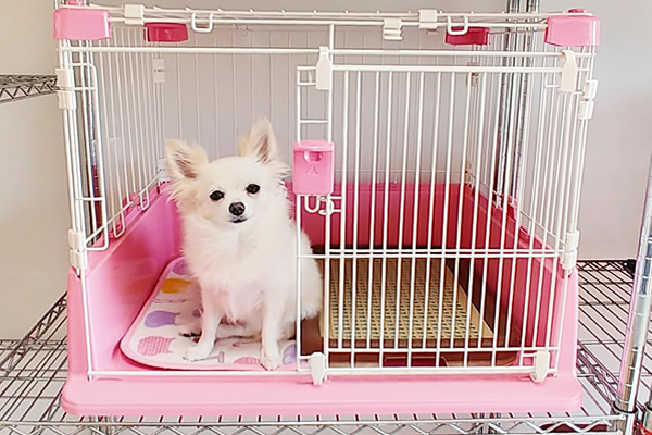 宿泊ルーム サークル型（ベッドスペースとおトイレ）