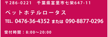 〒286-0221 千葉県富里市七栄647-11 TEL. 0476-36-4352 FAX. 043-332-9776 受付時間：8:00～20:00
