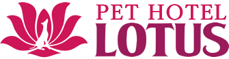 PET HOTEL LOTUS ペットホテルロータスは千葉県富里市のペット（犬）ホテル・トリミングサロンです。