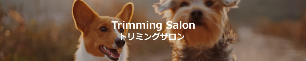 トリミングサロン