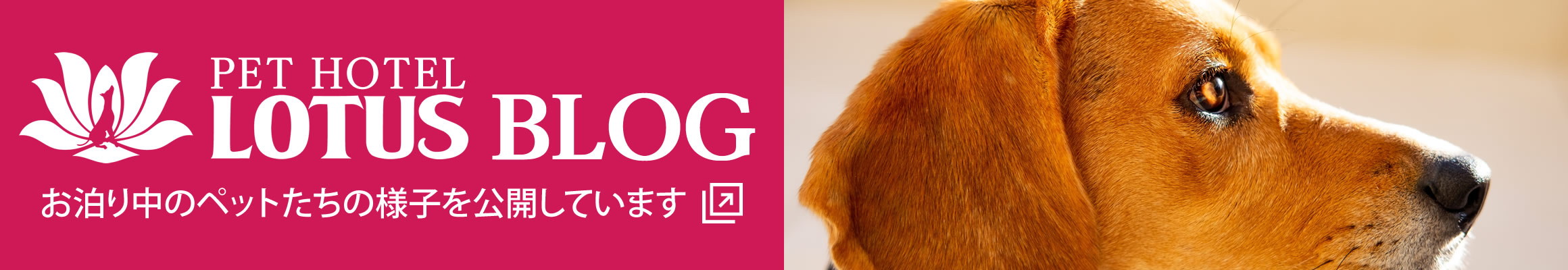 STAFF BLOG スタッフブログ